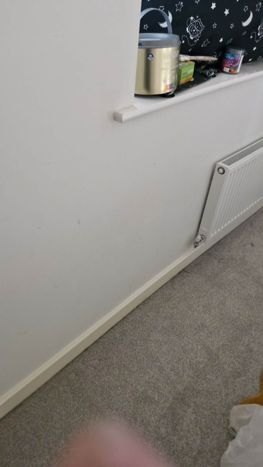 Plain white bedroom wall before painting