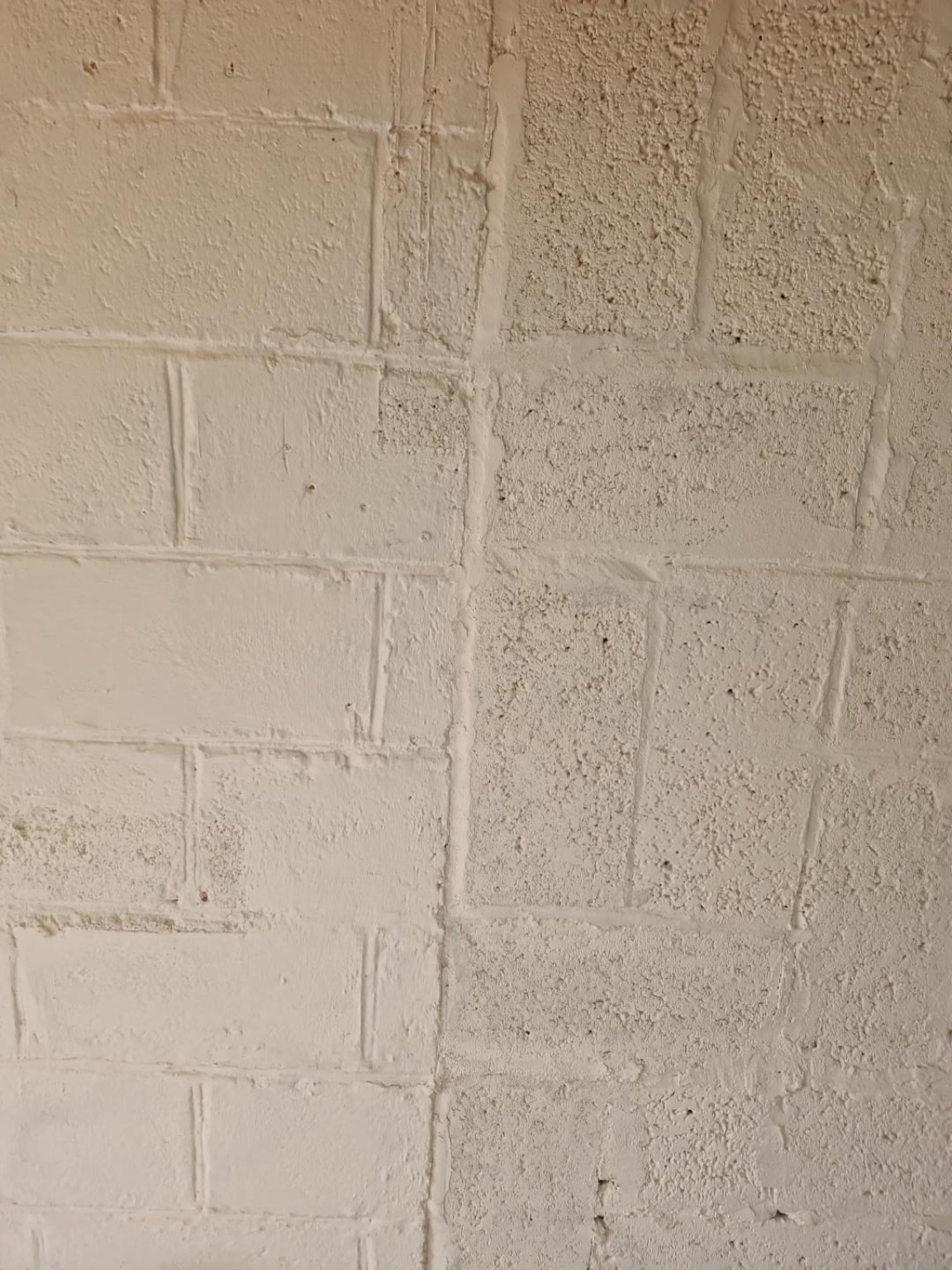 Original photo of the repaired and painted internal garage block wall