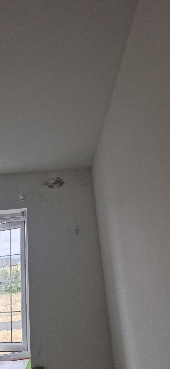 White bedroom before the pink ceiling and wall refresh